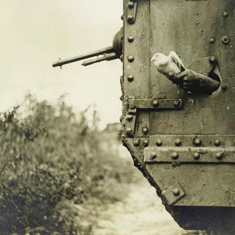 Leucosis - Leucosis (2013) Cover