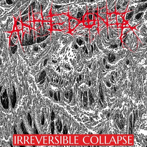 Irreversible Collapse
