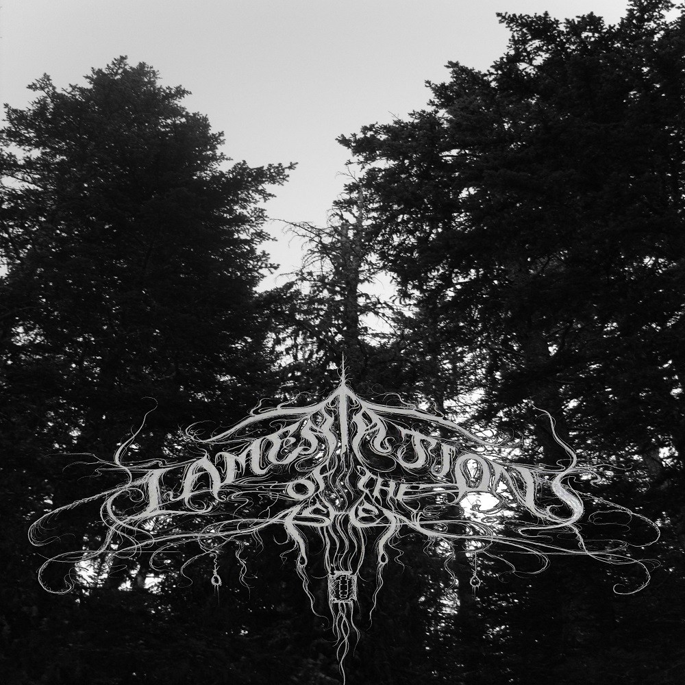Lamentations of the Ashen - In Distance (Implorations Unto the Wind) (2008) Cover