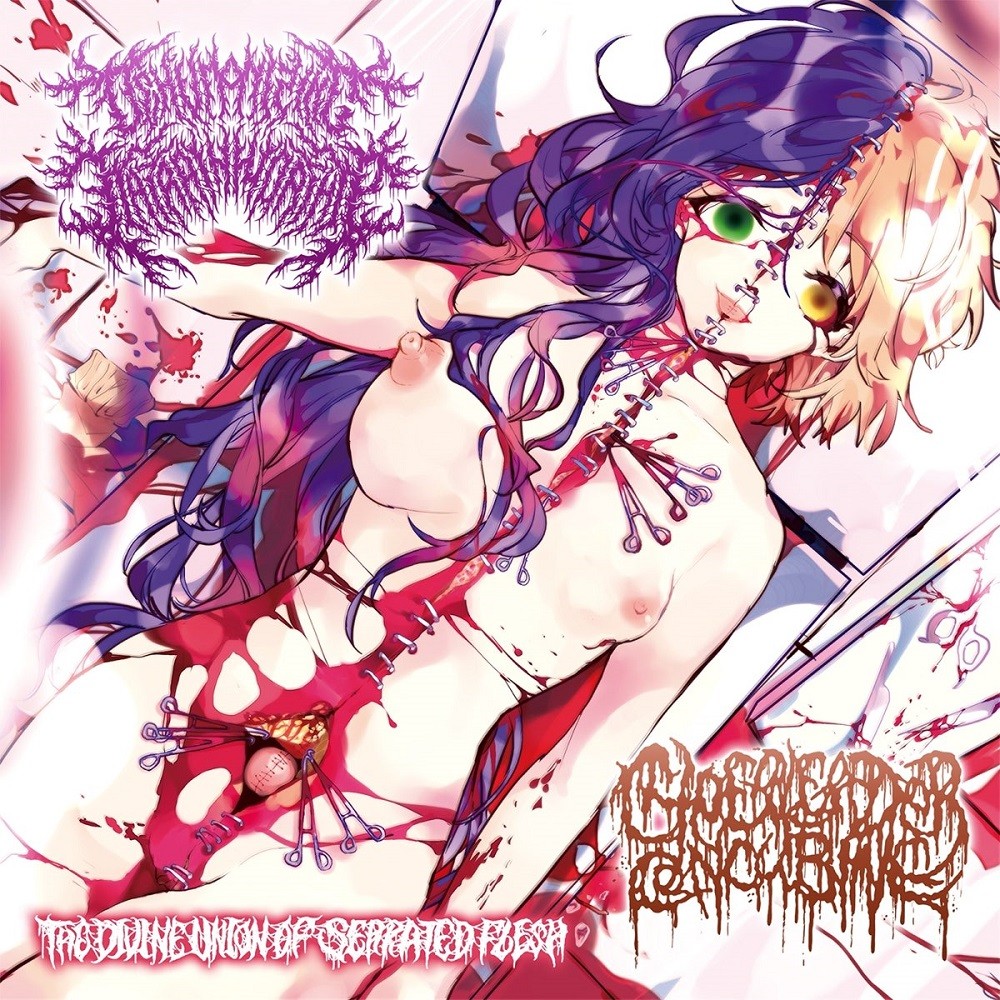 Dehumanizing Itatrain Worship / Cheerleader Concubine - The Divine Union of Serrated Flesh (2018) Cover