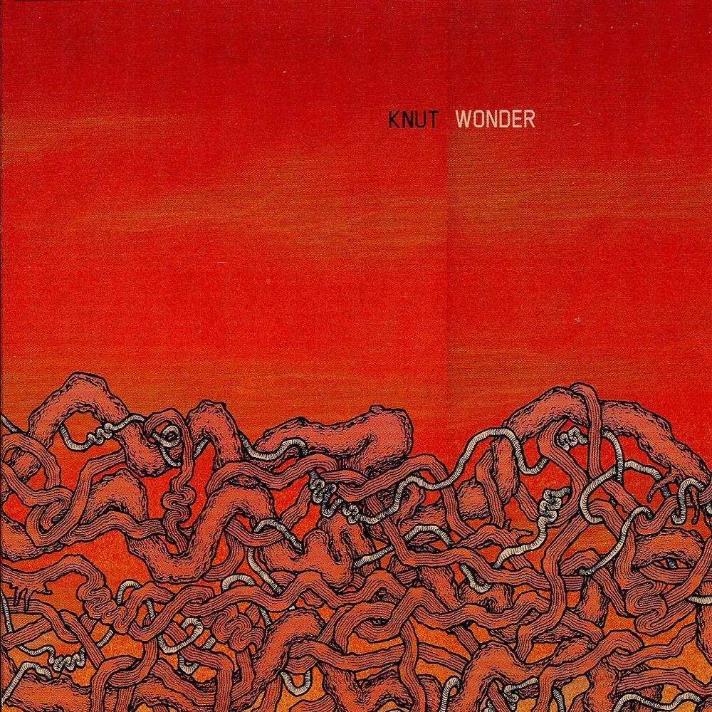 Knut - Wonder (2010) Cover
