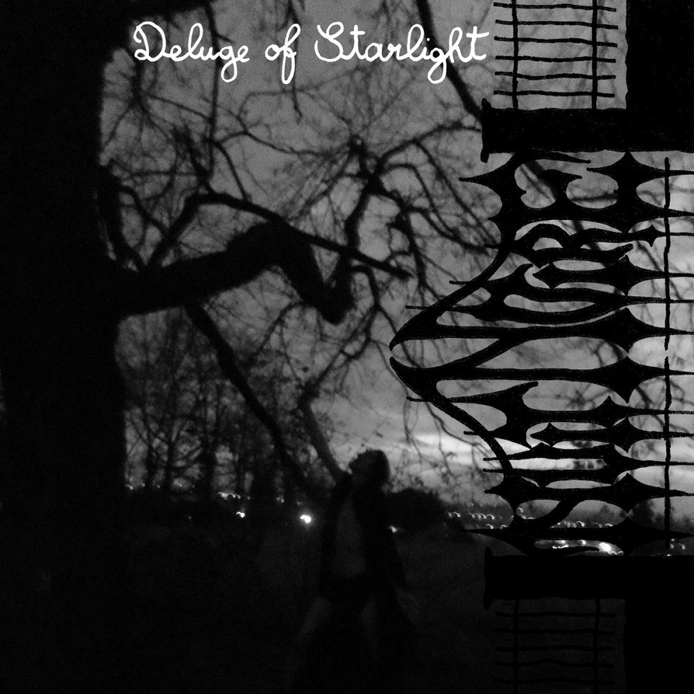 Nuit noire - Deluge of Starlight (2015) Cover