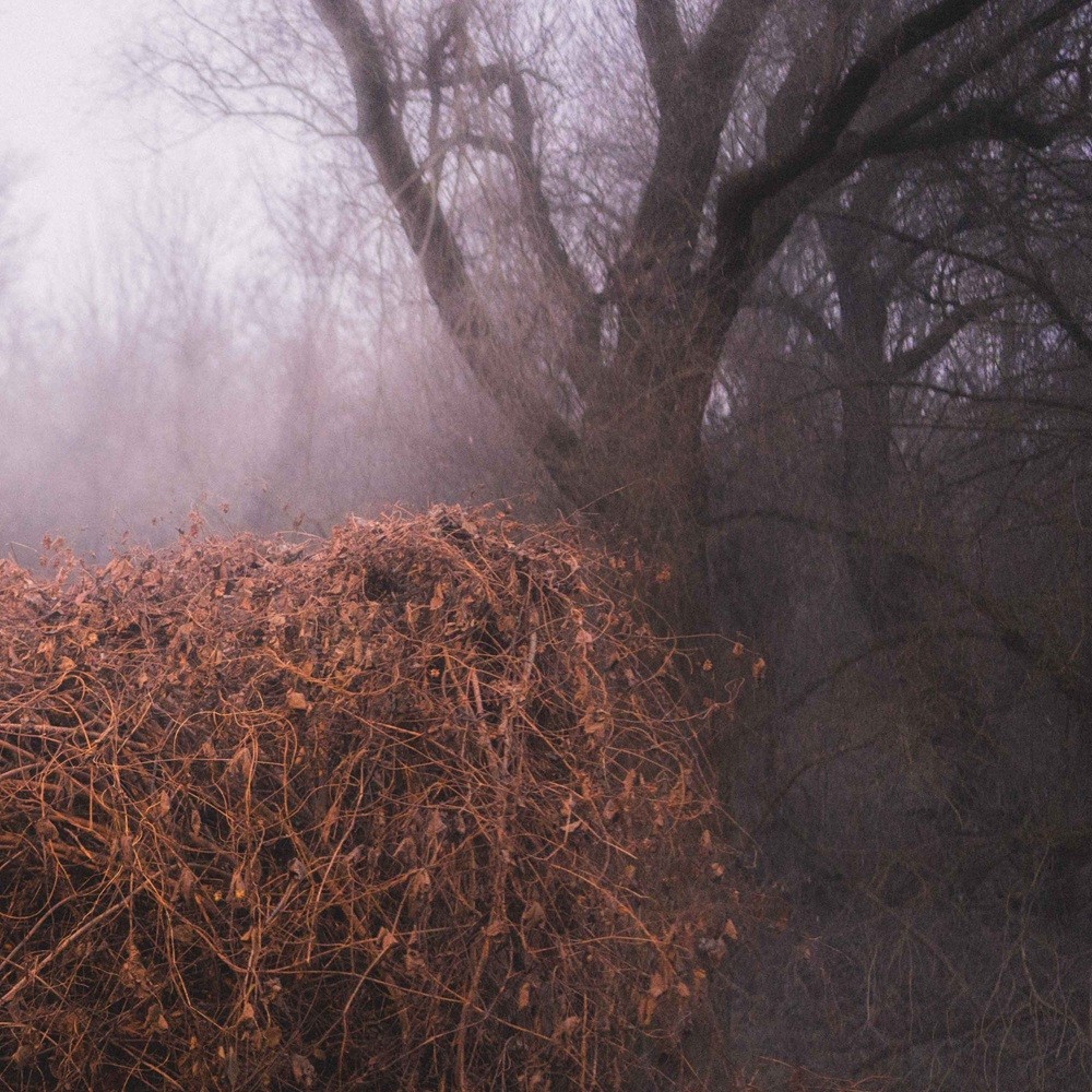 Devil's Trade, The - Nincs szennyezetlen szép (2025) Cover