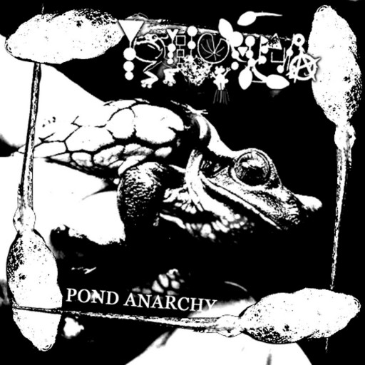 Phyllomedusa - Pond Anarchy 2012