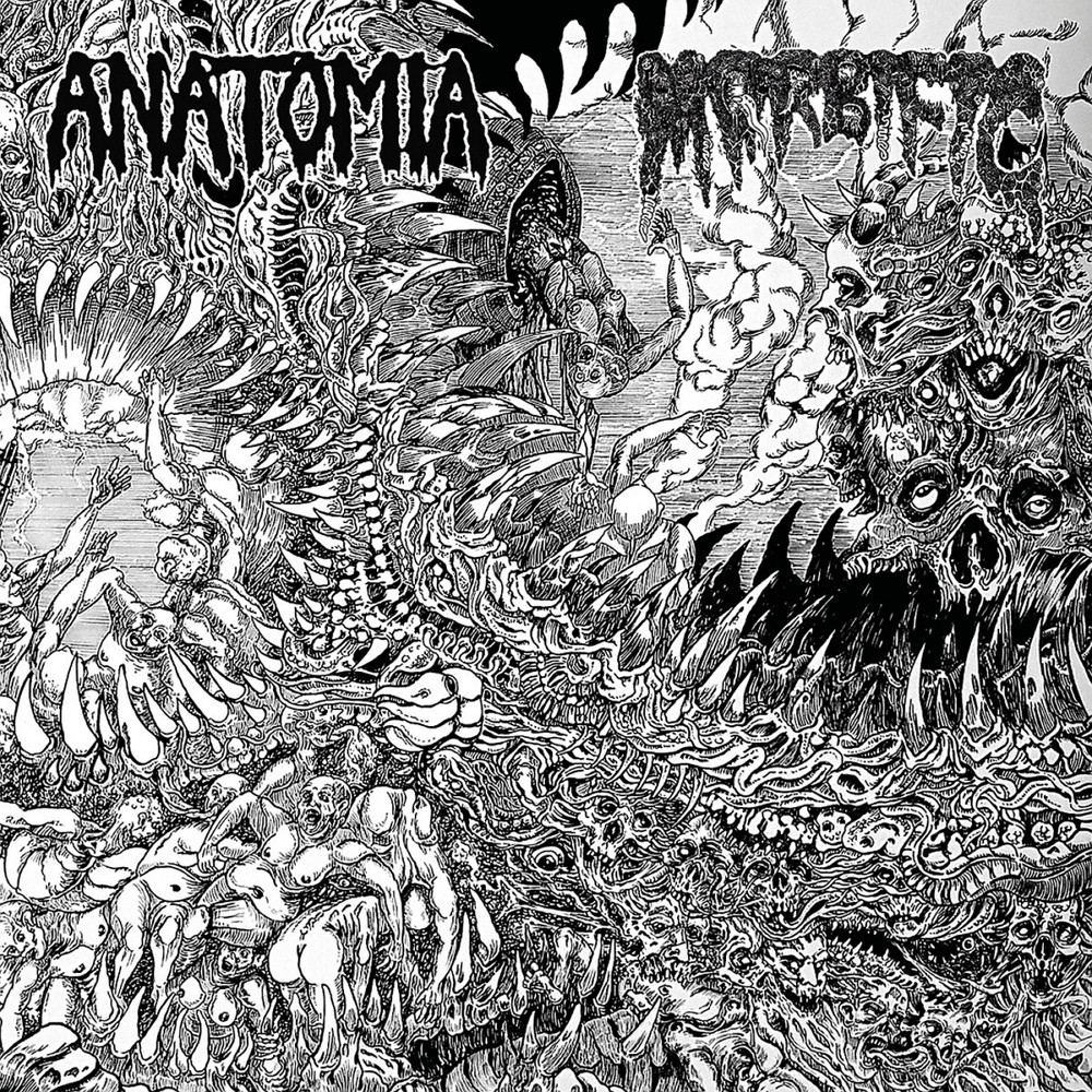 Anatomia / Morbific - Anatomia / Morbific (2022) Cover