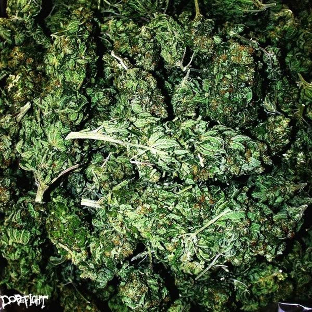 Dopefight - Buds (2010) Cover