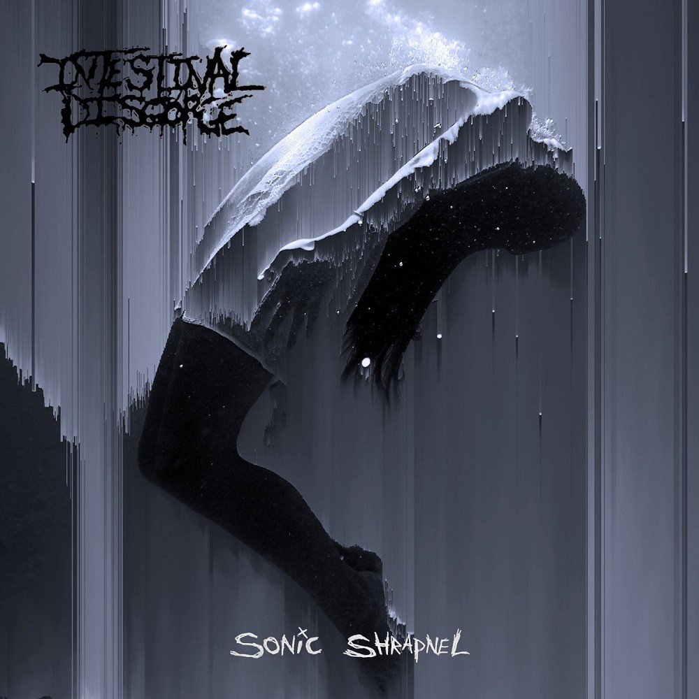 Intestinal Disgorge - Sonic Shrapnel (2017) Cover