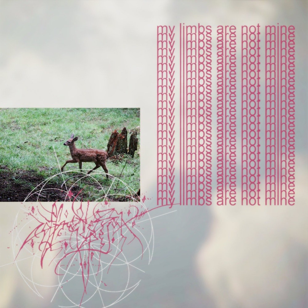 Coffret de Bijoux - My Limbs Are Not Mine (2026) Cover