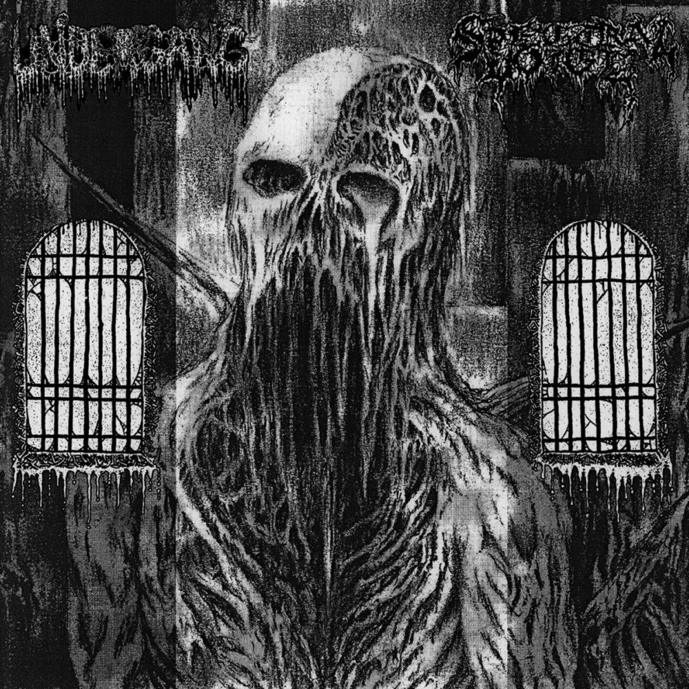 Spectral Voice / Undergang - Spectral Voice / Undergang (2023) Cover