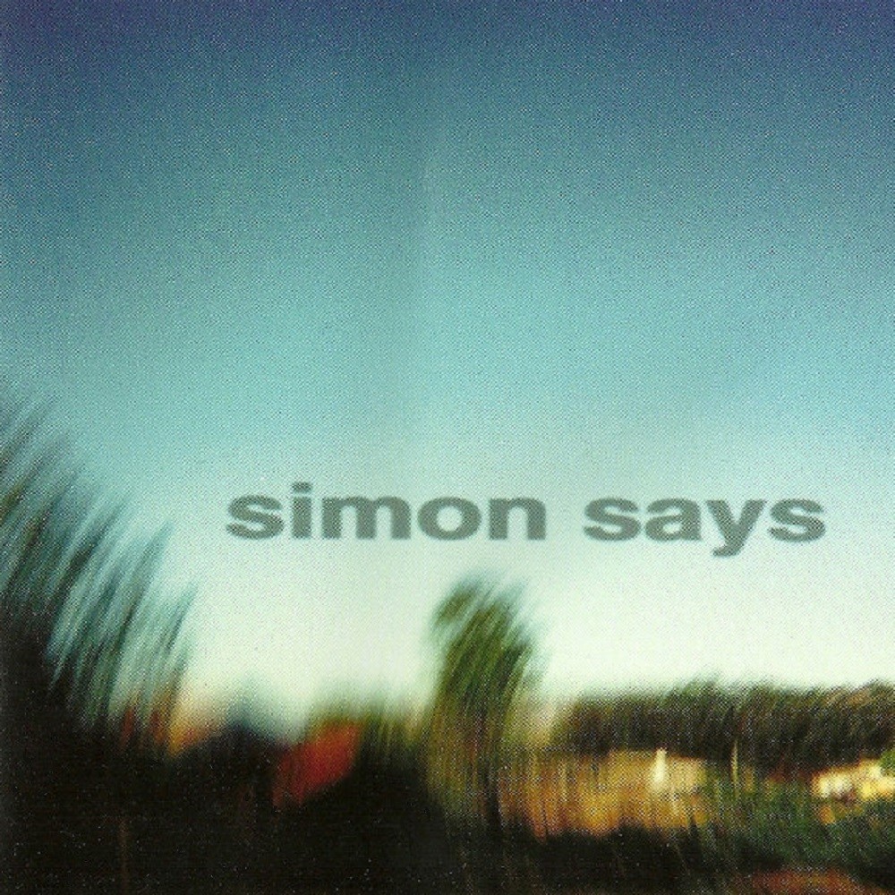 Simon Says - Perfect Example (1997) Cover