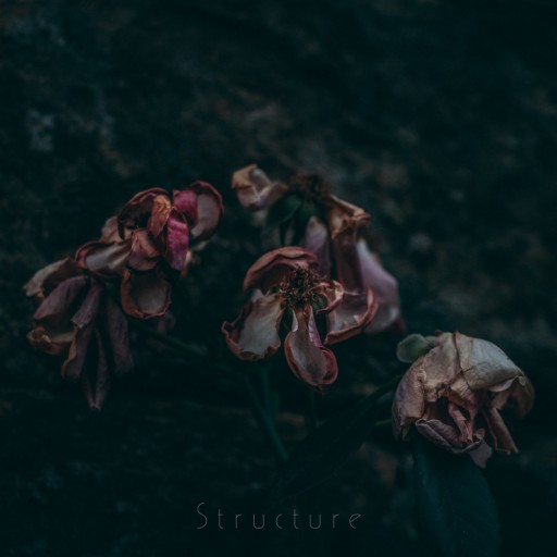 Structure
