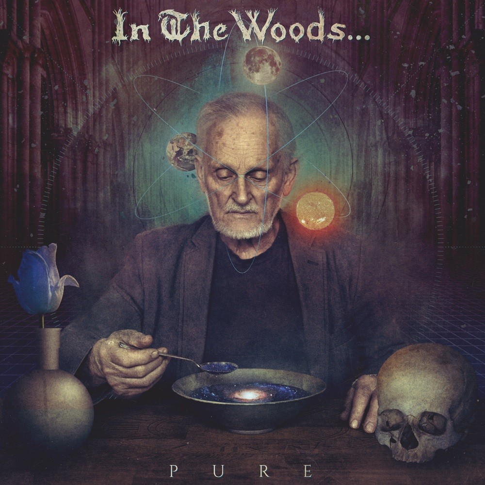 In the Woods... - Pure (2016) Cover