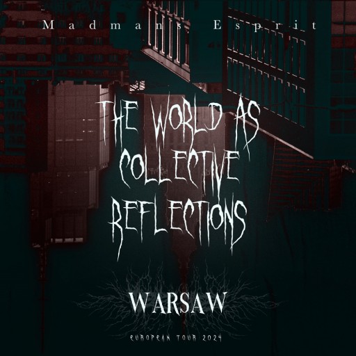 The World as Collective Reflections