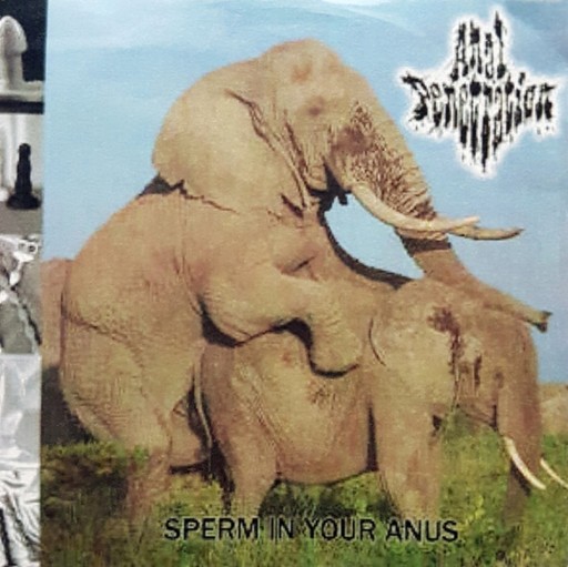 Sperm in Your Anus
