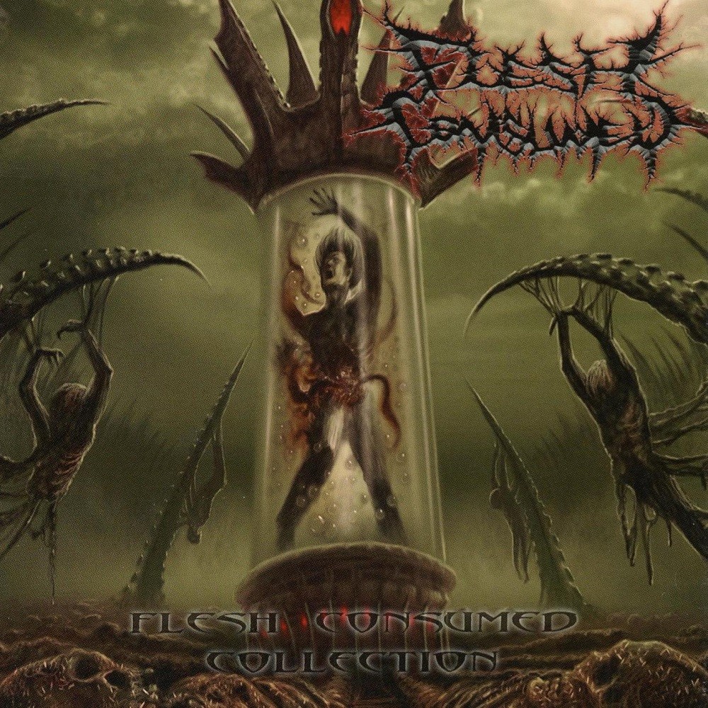 Flesh Consumed - Collection (2014) Cover