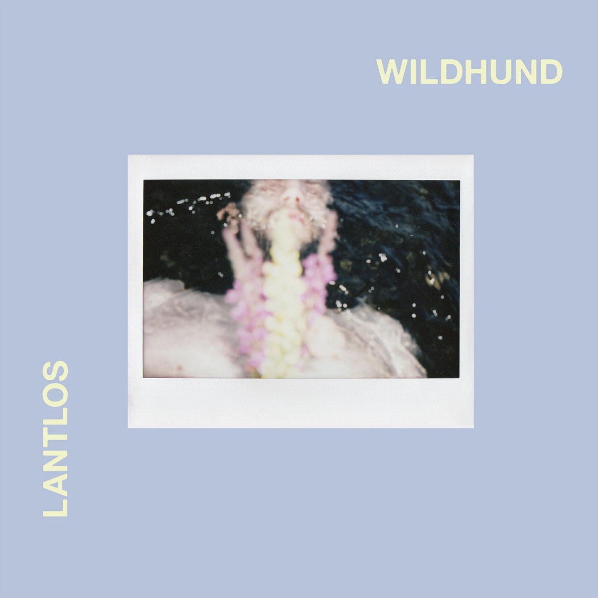 Lantlôs - Wildhund (2021) Cover