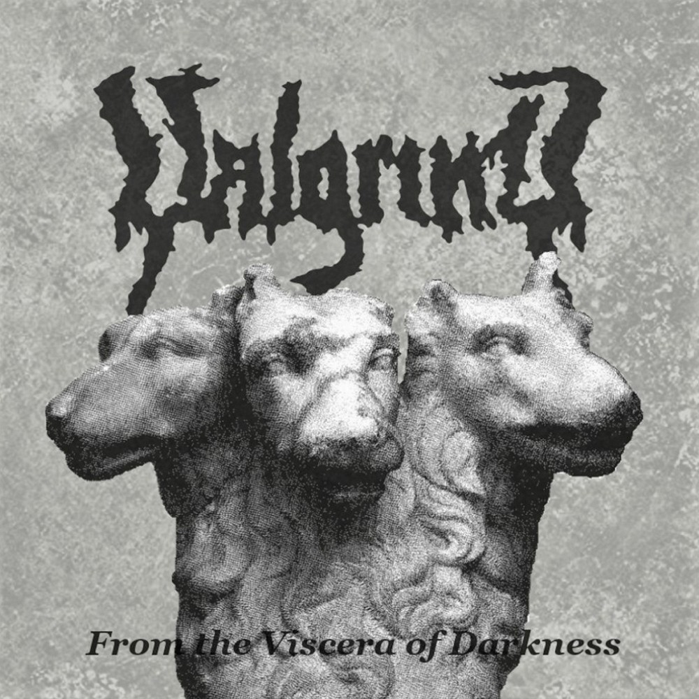 Valgrind - From the Viscera of Darkness (2021) Cover