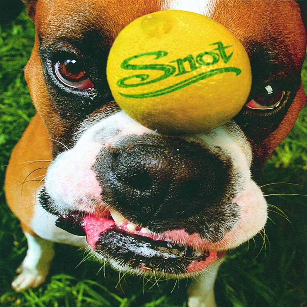Snot - Get Some (1997) Cover
