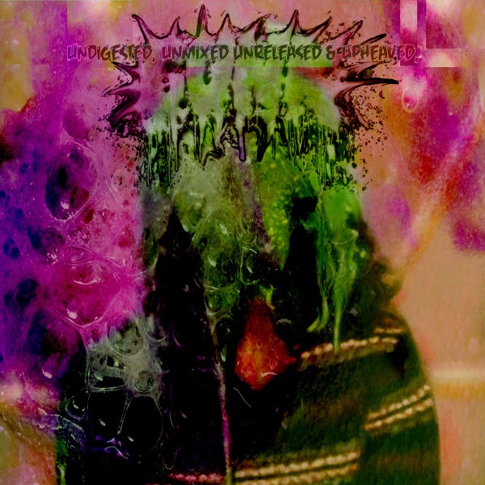 Gunk - Undigested, Unmixed, Unreleased & Upheaved (2018) Cover