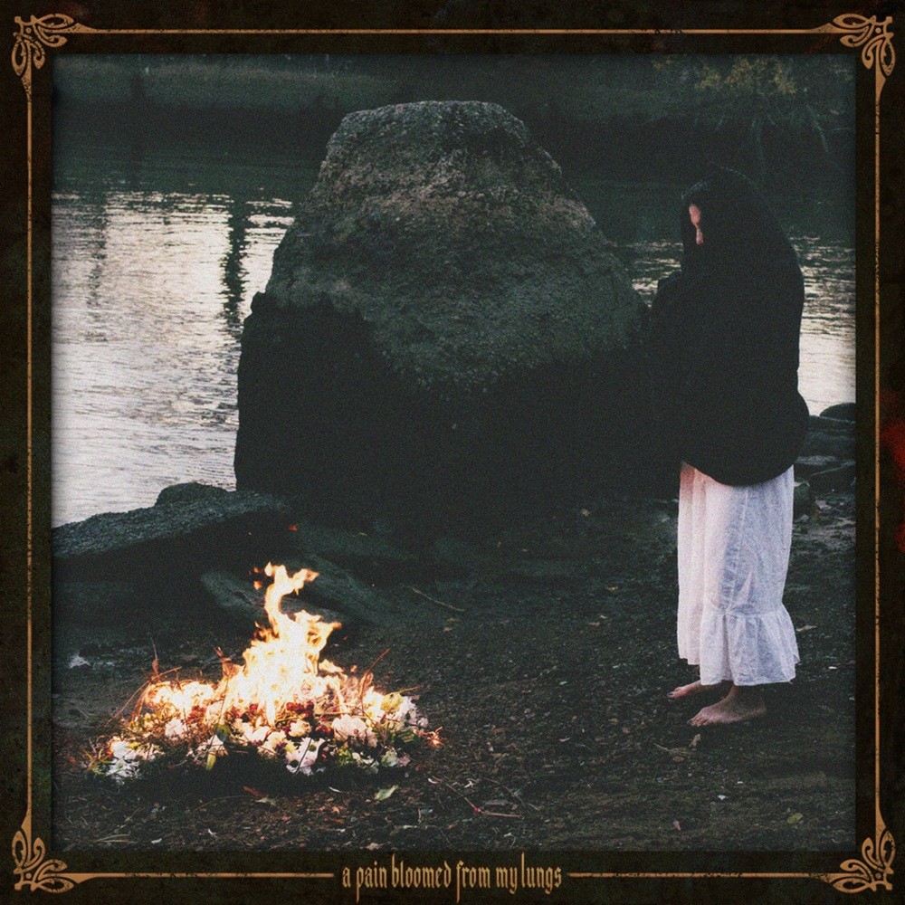 Lástima - A Pain Bloomed From My Lungs (2025) Cover