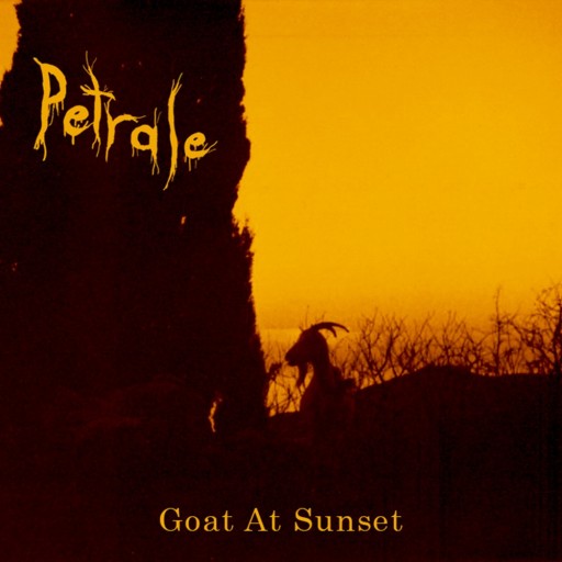Goat at Sunset