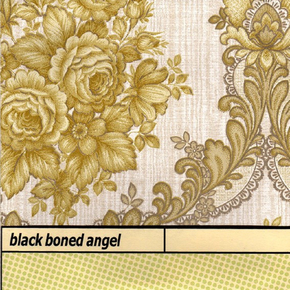 Black Boned Angel - Ashes (2006) Cover