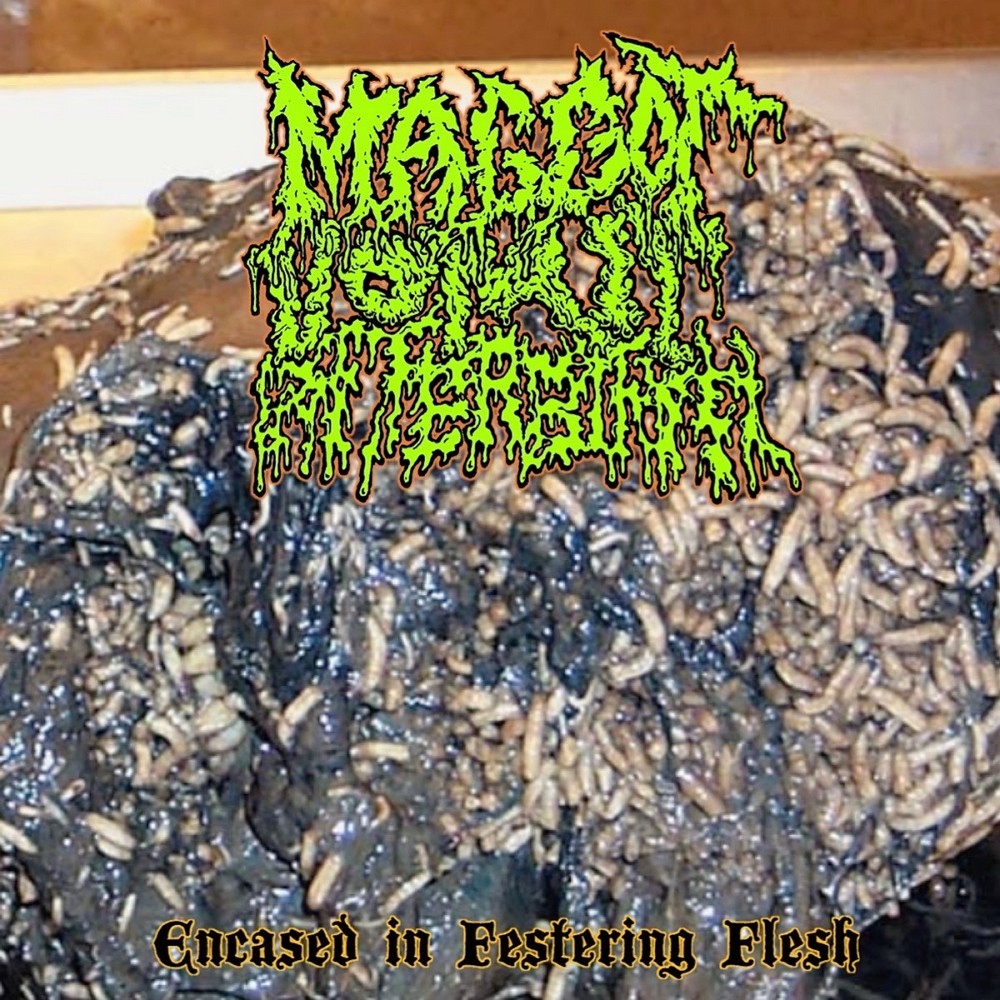 Maggot Vomit Afterbirth - Encased in Festering Flesh (2020) Cover