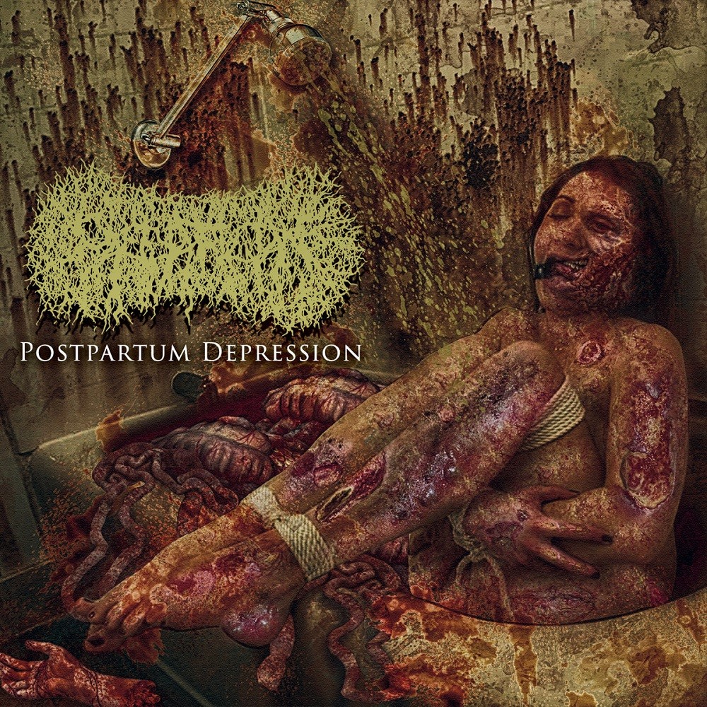 Paediatrician - Postpartum Depression (2022) Cover