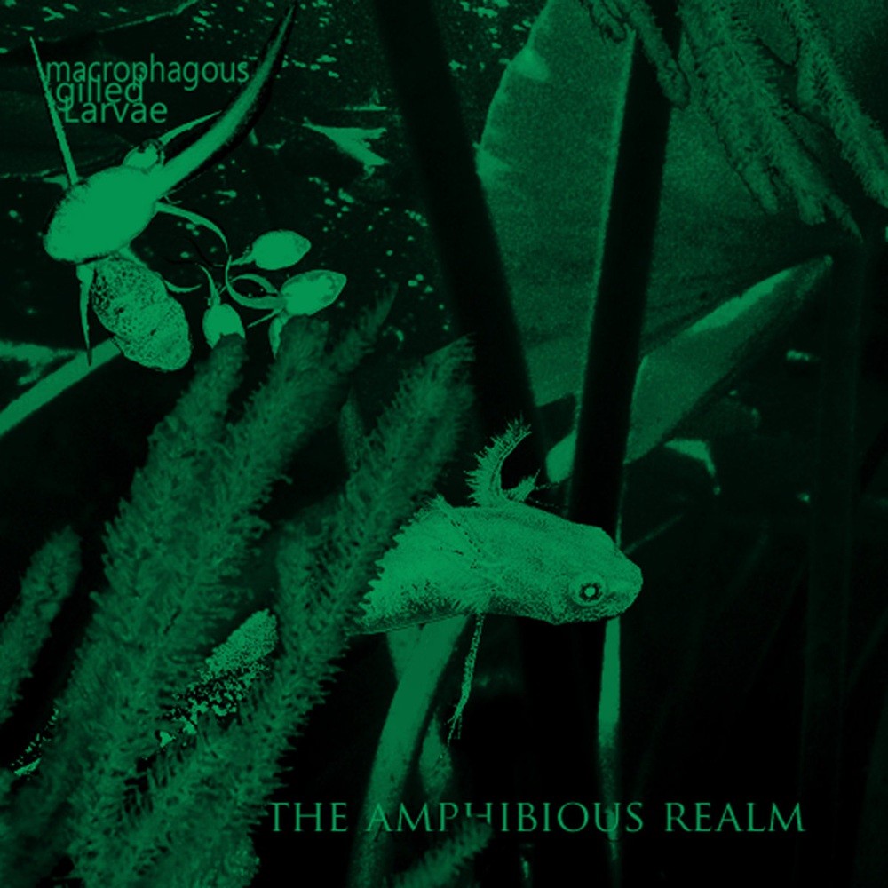 Macrophagous Gilled Larvae - The Amphibious Realm (2010) Cover
