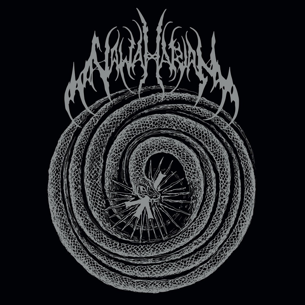 Nawaharjan - Into the Void (2011) Cover