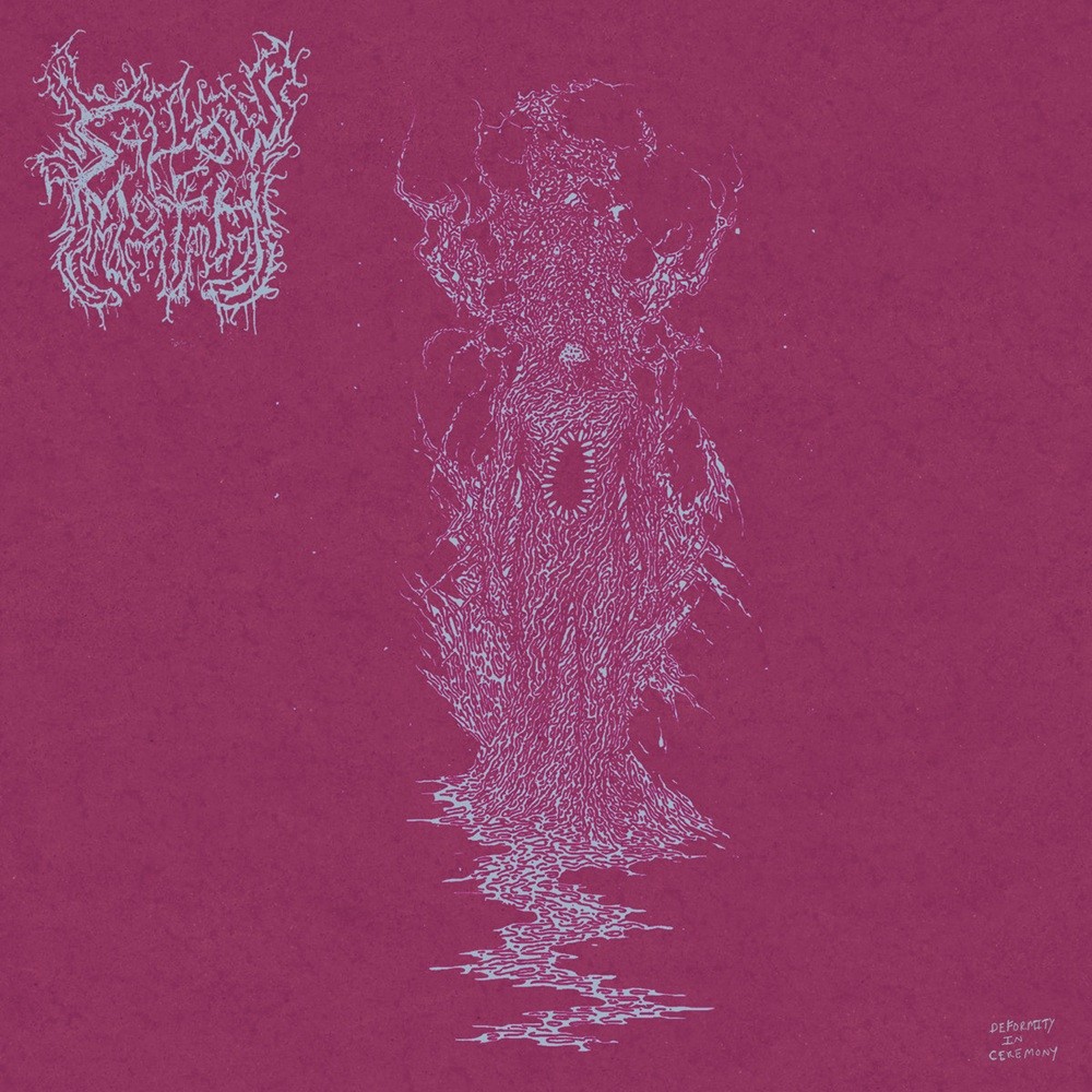 Sallow Moth - Deformity in Ceremony (2025) Cover