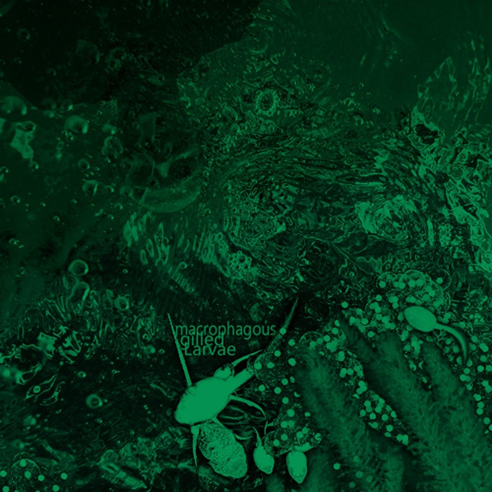Macrophagous Gilled Larvae - Sensitive Caudata Chaos (2012) Cover