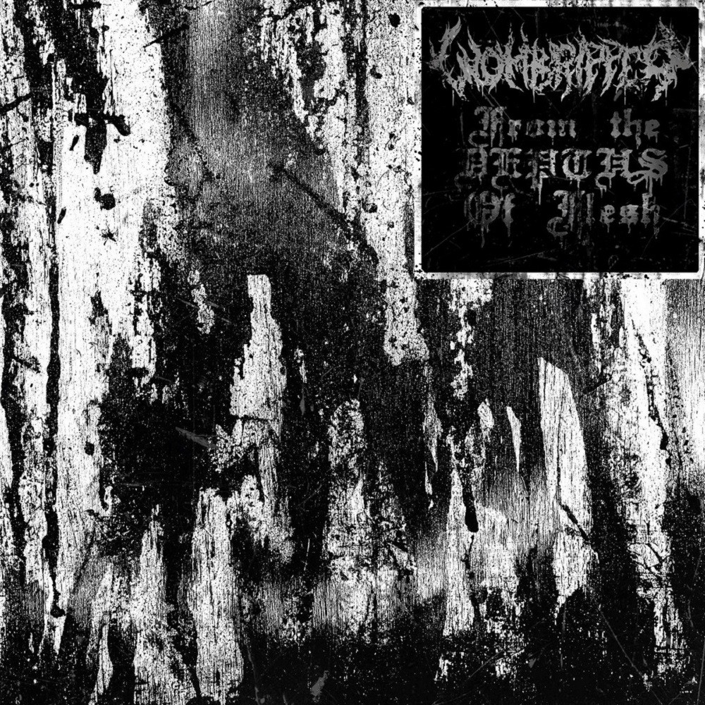 Wombripper - From the Depths of Flesh (2018) Cover