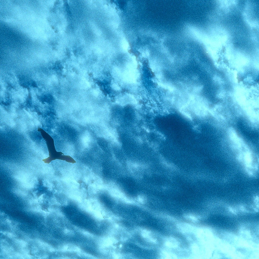 Blanket - Leaning on You (2025) Cover