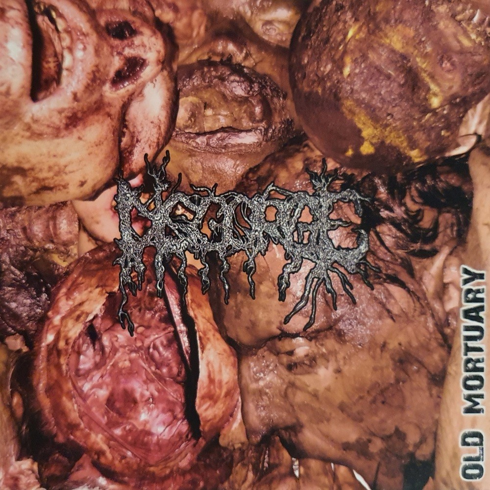 Disgorge (MEX) - Old Mortuary (2020) Cover