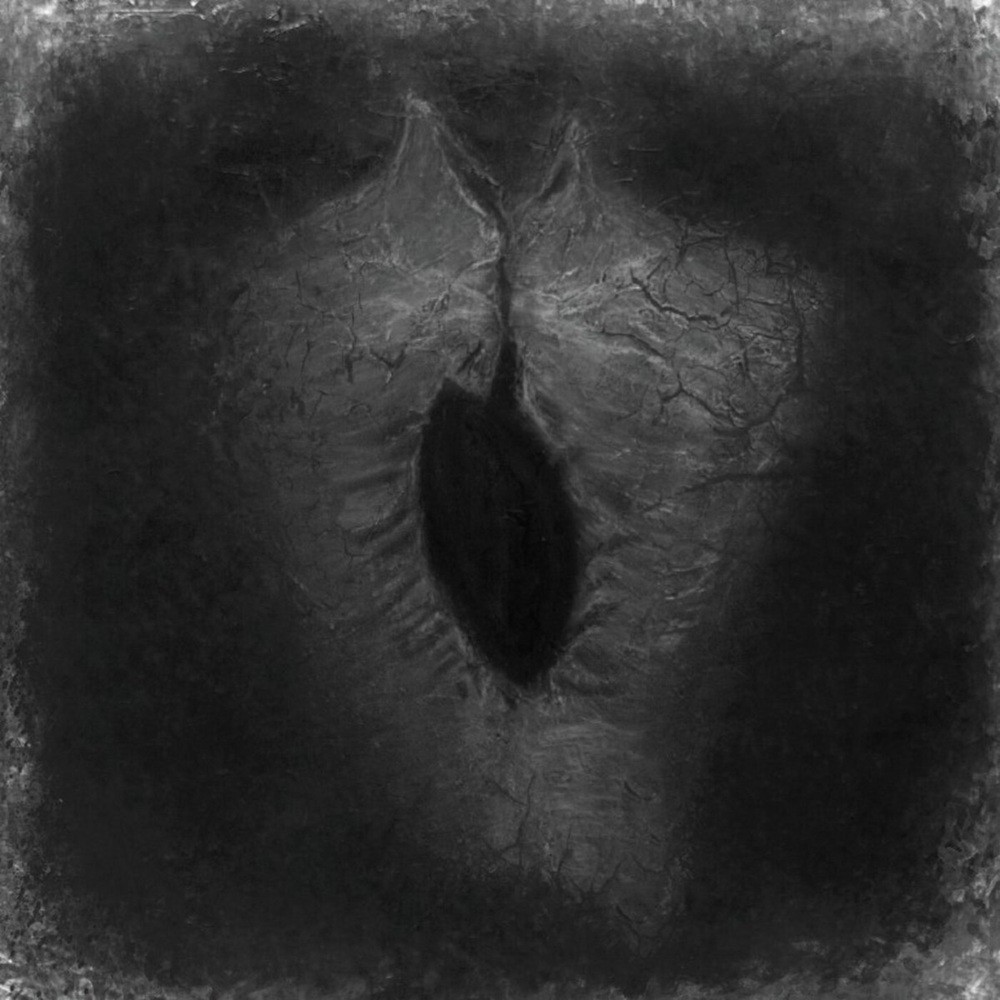 Leprous Vortex Sun - Шум небытия (2024) Cover