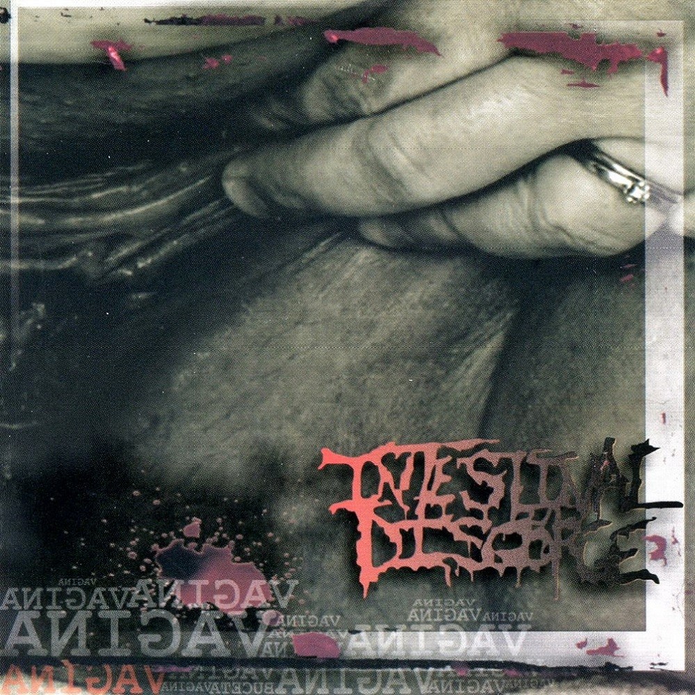 Intestinal Disgorge - Vagina (2007) Cover