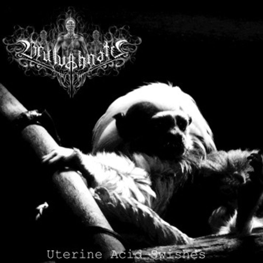 Brulvahnatu - Uterine Acid Swishes (2009) Cover