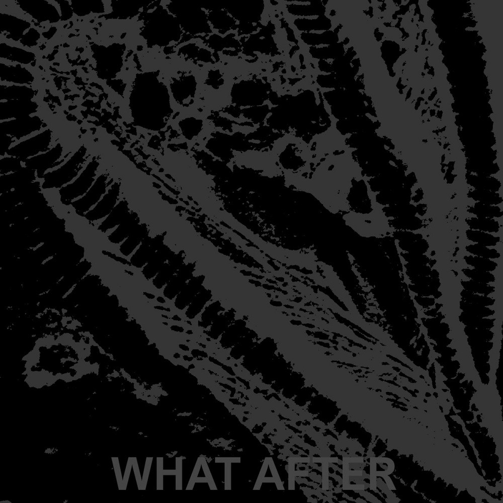 Caïna - What After (2020) Cover