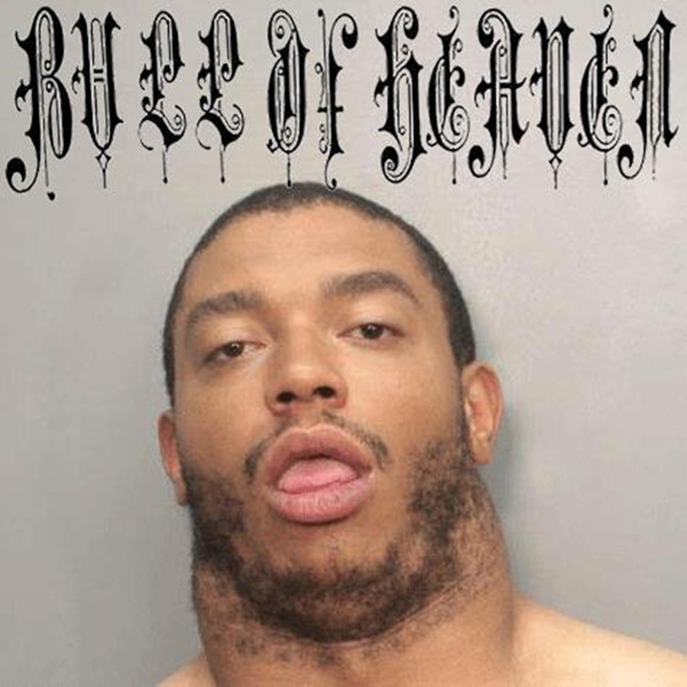 Bull of Heaven - 316: Near the Trout Hatchery at iDEATH (2014) Cover