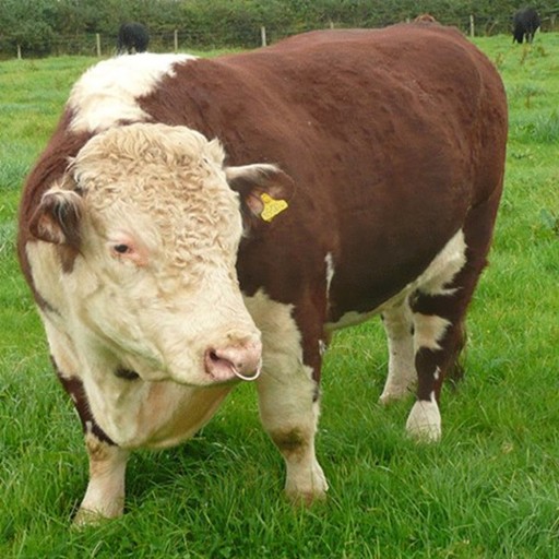 307: x0(2^18×5^18)p