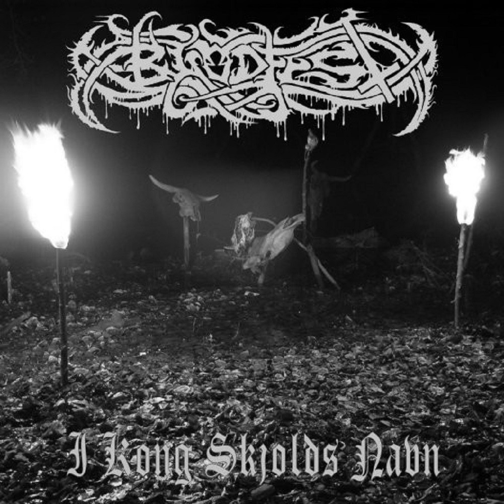 Blodfest - I kong skjolds navn (2007) Cover