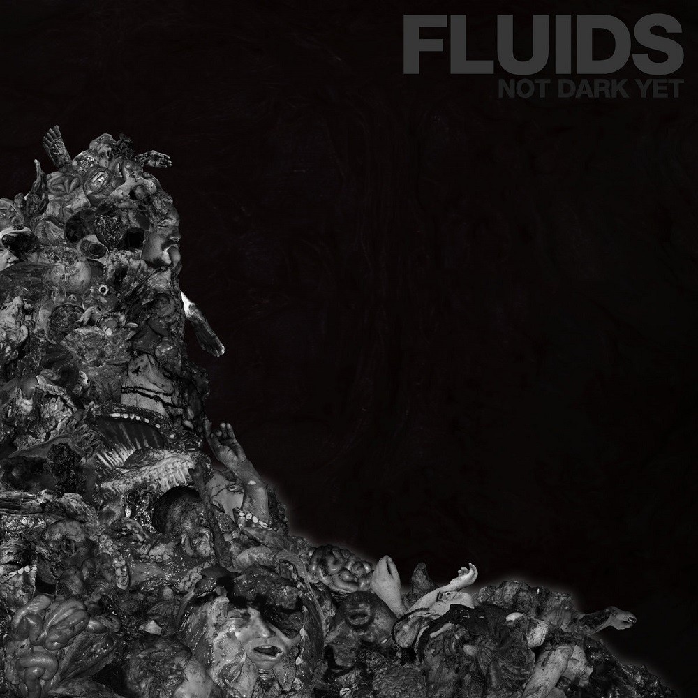 Fluids - Not Dark Yet (2021) Cover