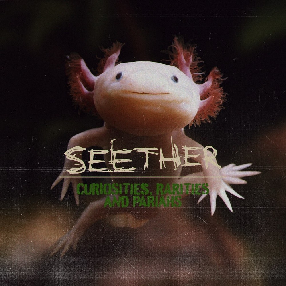 Seether - Curiosities, Rarities and Pariahs (2021) Cover