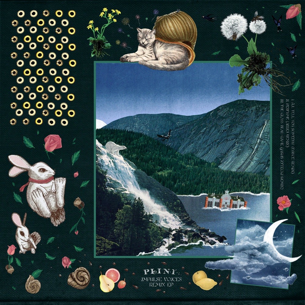 Plini - Impulse Voices (Remix EP) (2021) Cover