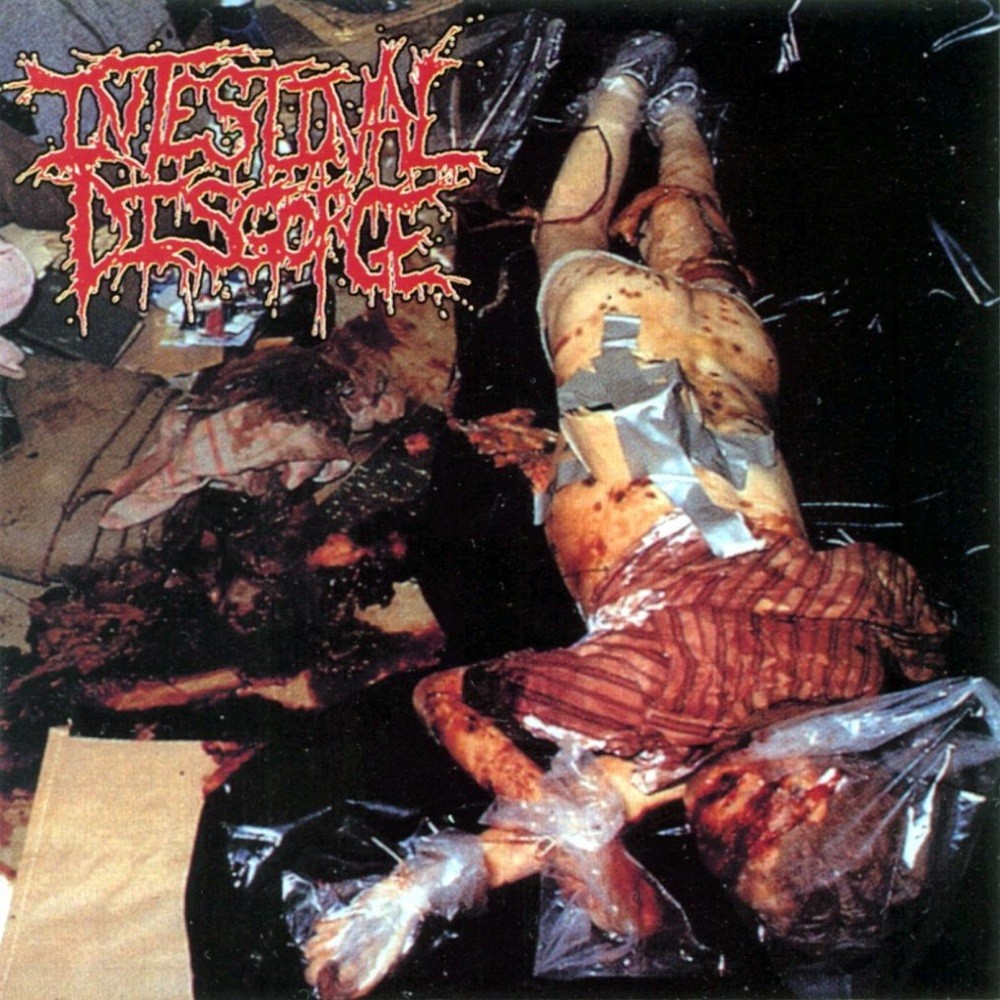 Intestinal Disgorge - Whore Splattered Walls (2001) Cover