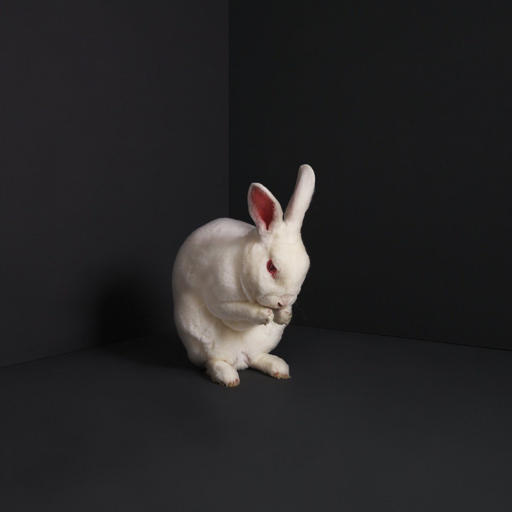Brume - Rabbits (2019) Cover