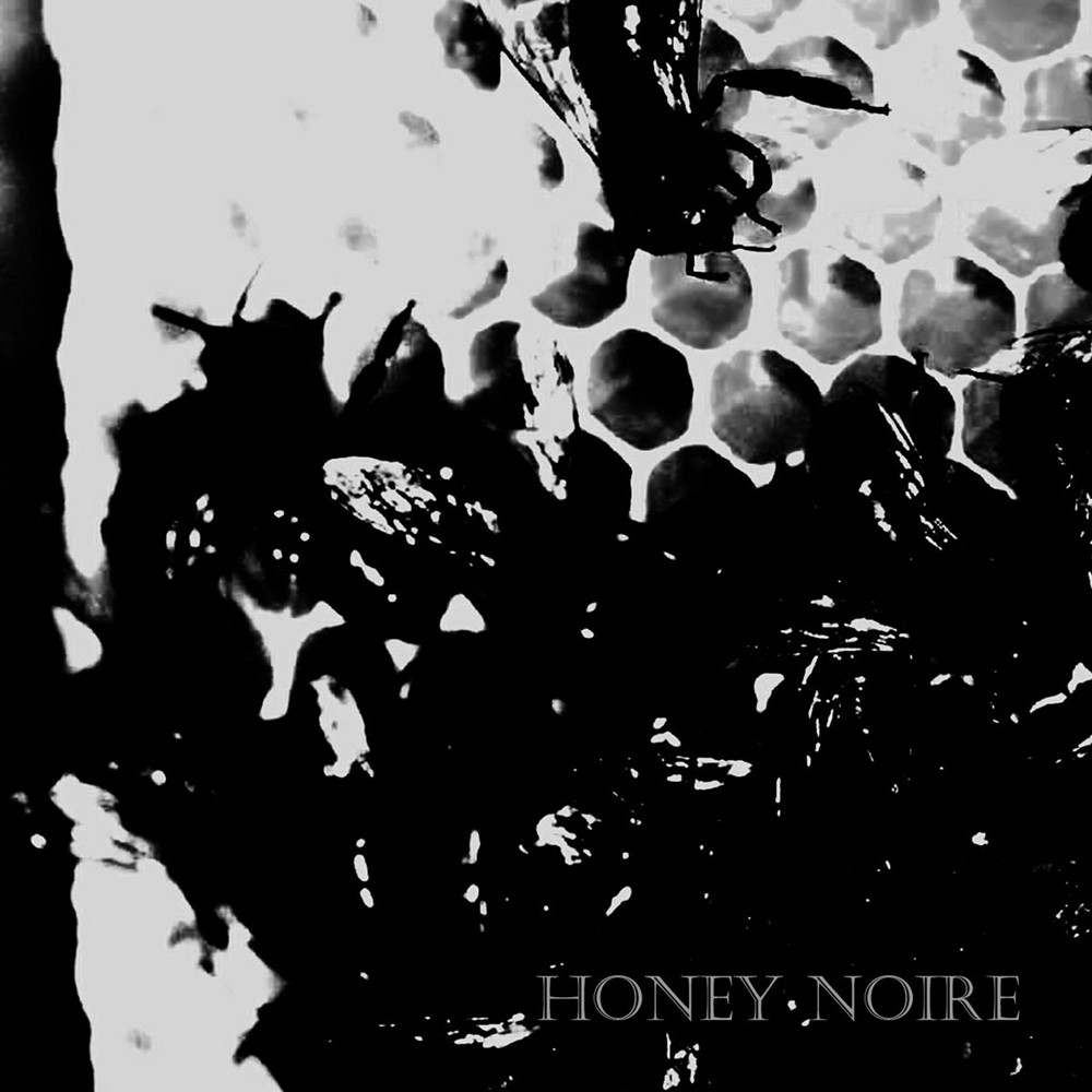 Lovesilkpalemilk - honey noire (2013) Cover