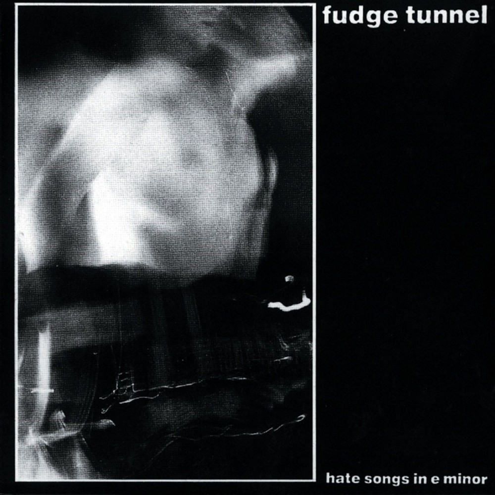 Fudge Tunnel - Hate Songs in E minor (1991) Cover