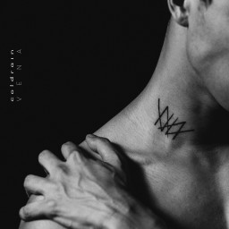 Review by Shadowdoom9 (Andi) for Coldrain - Vena (2015)